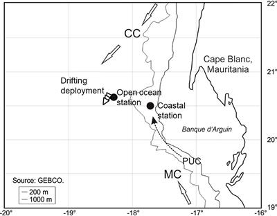 Tracks in the Snow – Advantage of Combining Optical Methods to Characterize Marine Particles and Aggregates